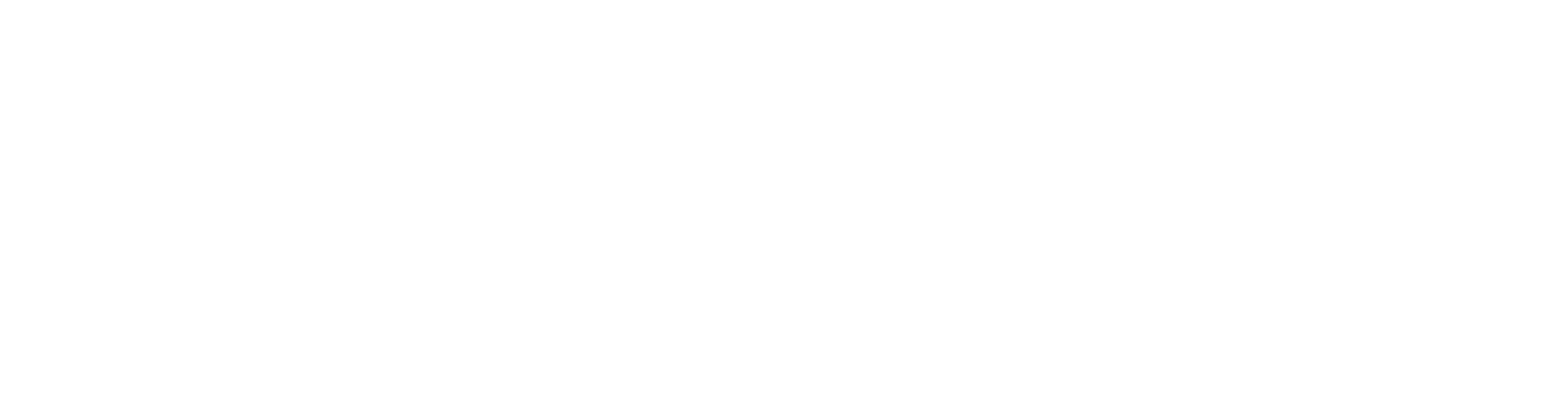 Logo Summeet 2021 Bianco footer